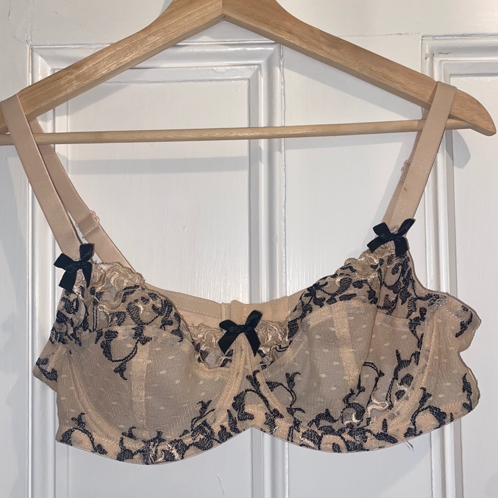 sexy sheer bra